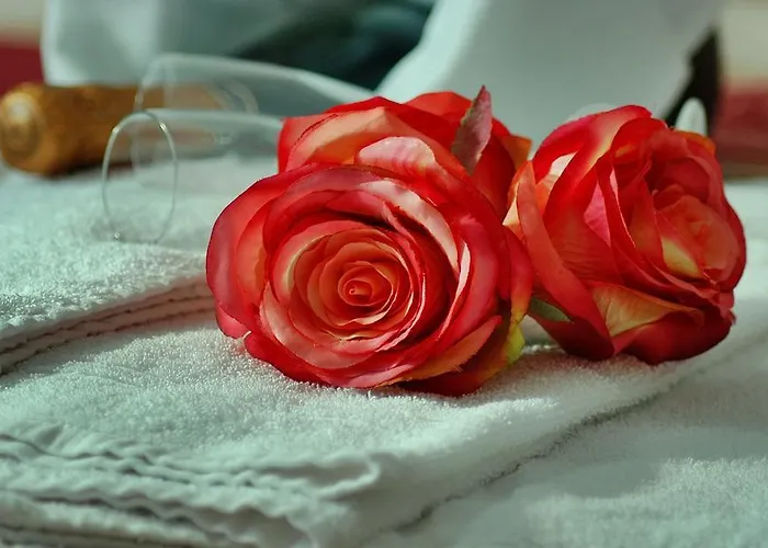 Trulli Isago 住宿加早餐酒店 洛科罗通多